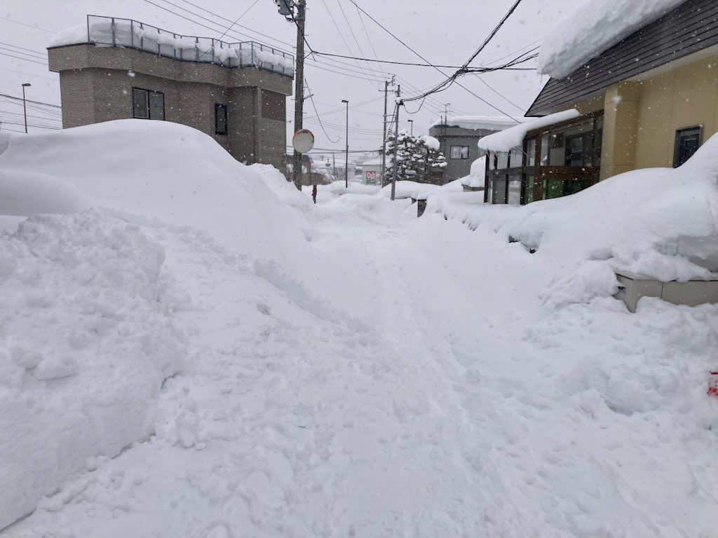 春が待ち遠しいです! 画像
