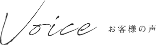 voice