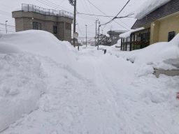 春が待ち遠しいです！ アイキャッチ画像