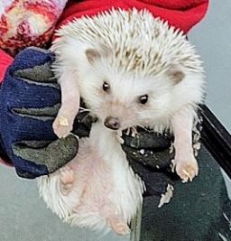 可愛い動物たちに癒されました✨ アイキャッチ画像