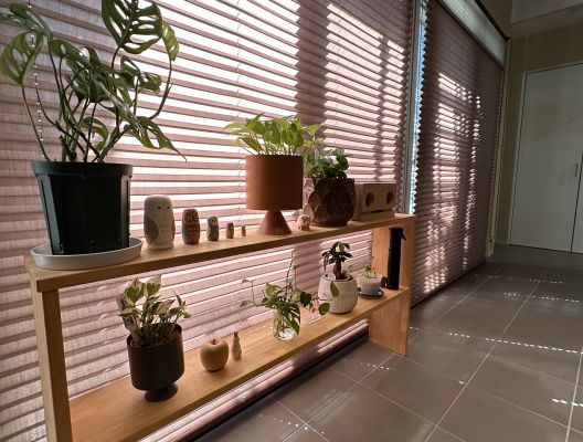 我が家の植物達との暮らし アイキャッチ画像