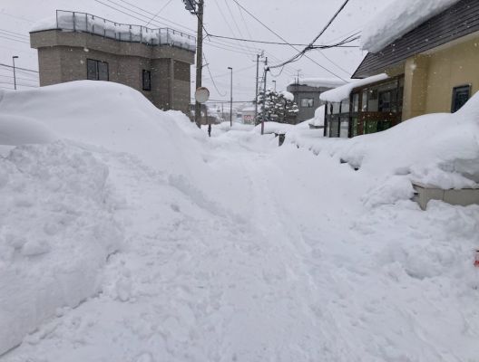 春が待ち遠しいです！ アイキャッチ画像
