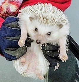 可愛い動物たちに癒されました✨ アイキャッチ画像