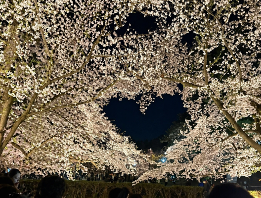 春といえば✨️ アイキャッチ画像