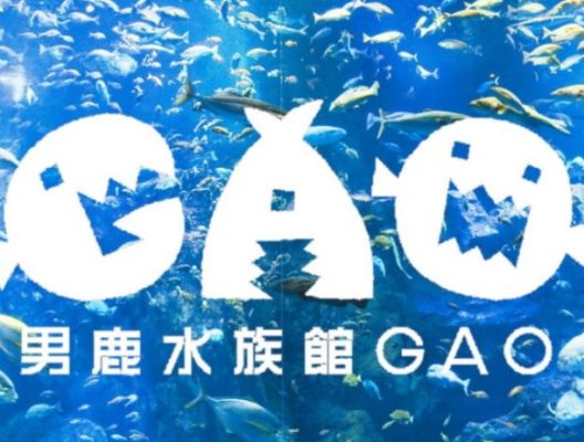 🐻‍❄️ＧＡＯ🐻‍❄️ アイキャッチ画像